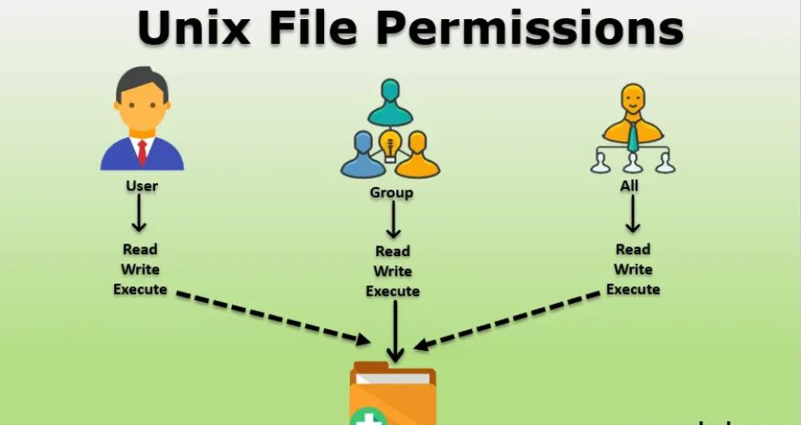 Managing File Permissions in OS