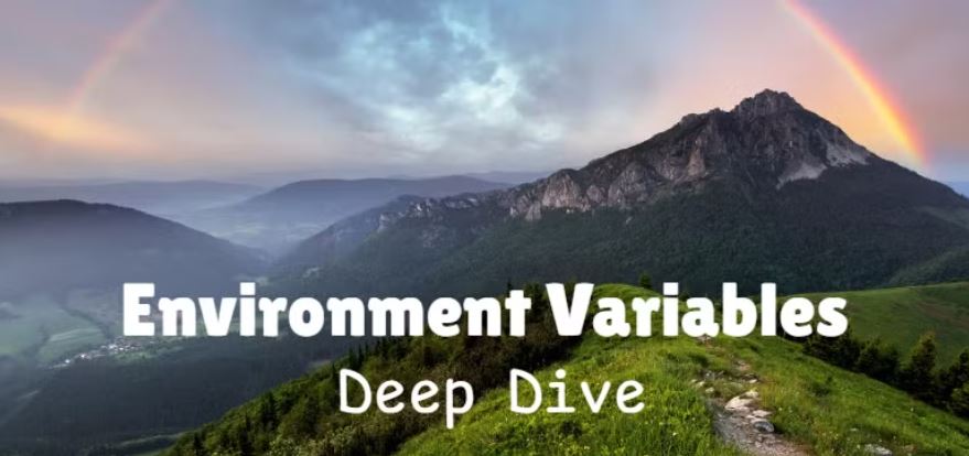 What are Environment Variables?